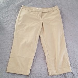 Ann Taylor Capris
